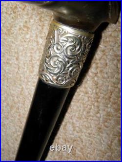 Antique Walking Stick Bovine Horn Greyhound Handle & Repousse Silver Collar