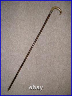 Antique Walking Stick Bovine Horn & Hallmarked 1916 Silver Draycott Lodge Derby