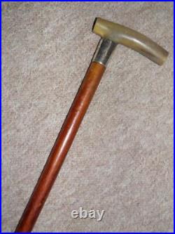 Antique Walking Stick Bovine Horn & Hallmarked Silver 1913 Collar By J. Howell