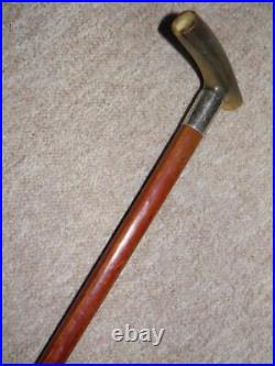 Antique Walking Stick Bovine Horn & Hallmarked Silver 1913 Collar By J. Howell