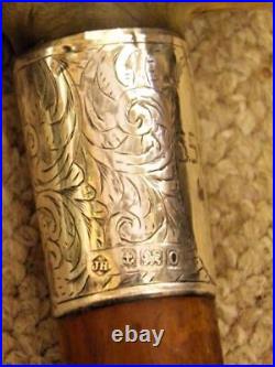 Antique Walking Stick Bovine Horn & Hallmarked Silver 1913 Collar By J. Howell