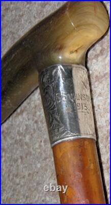 Antique Walking Stick Bovine Horn & Hallmarked Silver 1913 Collar By J. Howell