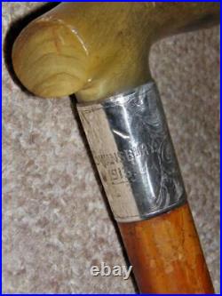 Antique Walking Stick Bovine Horn & Hallmarked Silver 1913 Collar By J. Howell