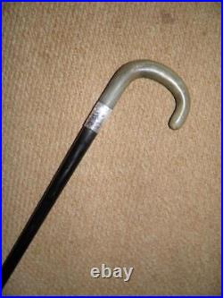 Antique Walking Stick Bovine Horn Hallmarked Silver 1926 Port Talbot Afan Pres