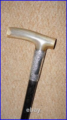 Antique Walking Stick Bovine Horn & Hallmarked Silver Collar 1902 Western Choir