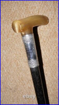 Antique Walking Stick Bovine Horn & Hallmarked Silver Collar 1902 Western Choir