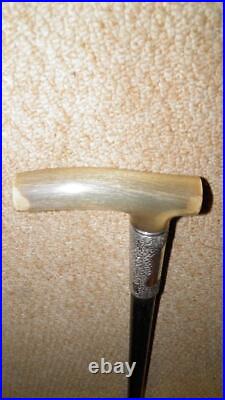 Antique Walking Stick Bovine Horn & Hallmarked Silver Collar 1902 Western Choir