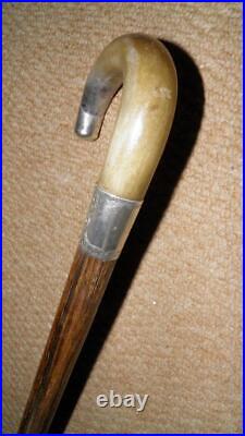 Antique Walking Stick Bovine Horn Handle & Hallmarked 1915 Silver Furnishings