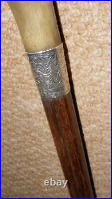 Antique Walking Stick Bovine Horn Handle & Hallmarked 1915 Silver Furnishings