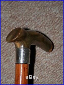 Antique Walking Stick Bovine Horn Handle With H/m Silver Collar B'ham 1899