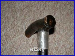 Antique Walking Stick Bovine Horn Handle With H/m Silver Collar B'ham 1906