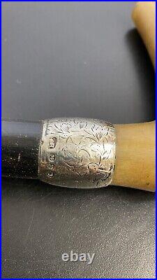 Antique Walking Stick Bovine Horn Handle With Silver Collar & Crown H/M 1898