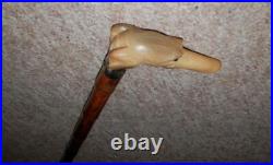 Antique Walking Stick Bovine Horn Whippet Top Glass Eyes & Silver Collar