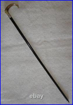 Antique Walking Stick / Cane Bovine Horn Crook & Hallmarked 1910 Silver London