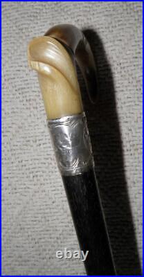 Antique Walking Stick / Cane Bovine Horn Crook & Hallmarked 1910 Silver London