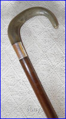 Antique Walking Stick / Cane Bovine Horn Crook & Hallmarked 1924 Silver B'ham