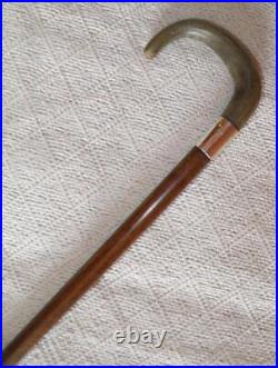 Antique Walking Stick / Cane Bovine Horn Crook & Hallmarked 1924 Silver B'ham