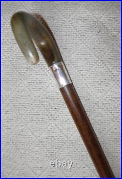 Antique Walking Stick / Cane Bovine Horn Crook & Hallmarked 1924 Silver B'ham