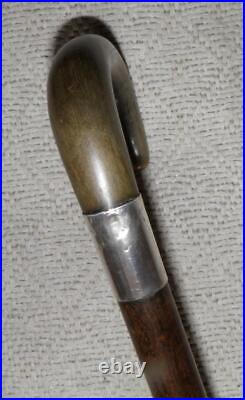 Antique Walking Stick / Cane Bovine Horn Crook & Hallmarked 1924 Silver B'ham