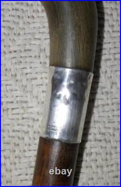 Antique Walking Stick / Cane Bovine Horn Crook & Hallmarked 1924 Silver B'ham