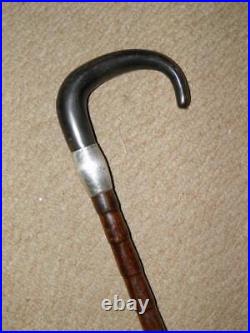 Antique Walking Stick/Cane Bovine Horn Crook & Sterling Silver Collar 90.5cm