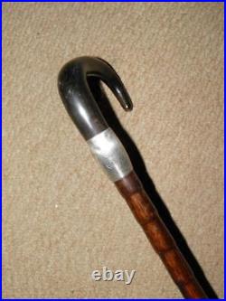 Antique Walking Stick/Cane Bovine Horn Crook & Sterling Silver Collar 90.5cm