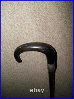 Antique Walking Stick/Cane Bovine Horn Crook & Sterling Silver Collar 90.5cm