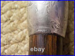 Antique Walking Stick/Cane Bovine Horn Crook & Sterling Silver Collar 90.5cm