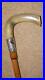 Antique-Walking-Stick-Cane-Bovine-Horn-Handle-Hallmarked-Floral-Silver-Collar-01-lce
