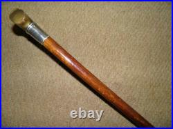 Antique Walking Stick/Cane Bovine Horn Handle & Hallmarked Silver Collar-1906
