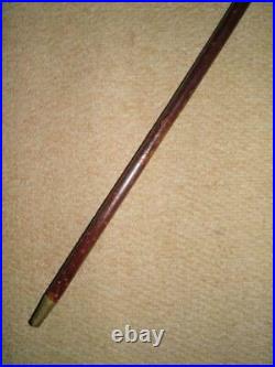 Antique Walking Stick/Cane Bovine Horn Handle & Hallmarked Silver Collar-1906