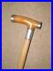 Antique-Walking-Stick-Cane-Bovine-Horn-Handle-Silver-1915-Furnishings-88cm-01-tnhw