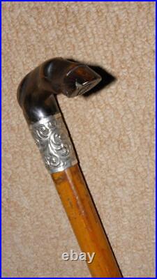 Antique Walking Stick / Cane Bovine Horn Horse Leg / Hoof & Silver Collar