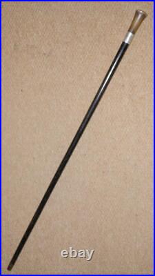 Antique Walking Stick / Cane Bovine Horn Pommel Top & Hallmarked 1921 Silver