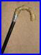 Antique-Walking-Stick-Cane-H-m-Silver-1918-Segment-Spine-Bovine-Horn-Handle-01-hd