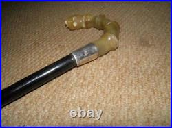 Antique Walking Stick/Cane H/m Silver 1918'-Segment Spine Bovine Horn Handle