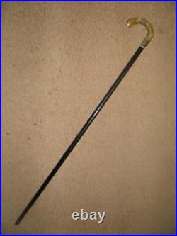 Antique Walking Stick/Cane H/m Silver 1918'-Segment Spine Bovine Horn Handle