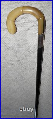 Antique Walking Stick / Cane Hallmarked 1920 Silver Collar Bovine Horn Handle