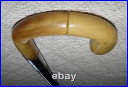 Antique Walking Stick / Cane Hallmarked 1920 Silver Collar Bovine Horn Handle