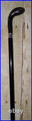 Antique Walking Stick / Cane Hallmarked 800S Silver Collar Bovine Horn Handle