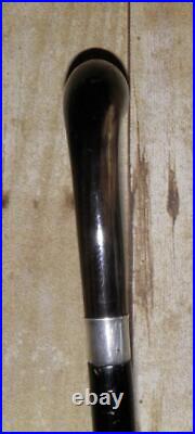 Antique Walking Stick / Cane Hallmarked 800S Silver Collar Bovine Horn Handle