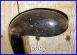 Antique Walking Stick / Cane Hallmarked 800S Silver Collar Bovine Horn Handle