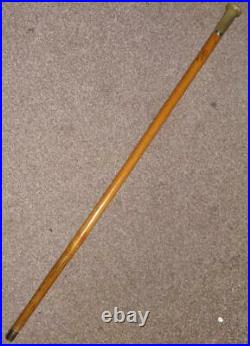 Antique Walking Stick/Cane Hallmarked Silver Collar 1904 -Bovine Horn Handle