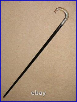 Antique Walking Stick/Cane With Bovine Horn Crook & Engraved Silver Plate Collar