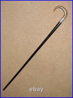Antique Walking Stick/Cane With Bovine Horn Crook & H/m 1912 Silver Collar -90cm