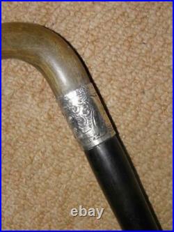 Antique Walking Stick/Cane With Bovine Horn Crook & H/m 1912 Silver Collar -90cm