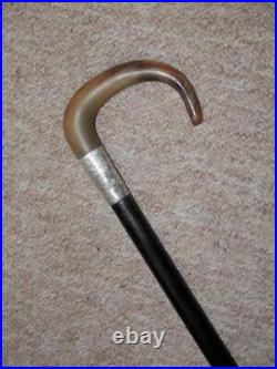 Antique Walking Stick/Cane With Bovine Horn Crook Handle & H/m Silver Collar- 86cm