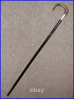 Antique Walking Stick/Cane With Bovine Horn Crook Handle & H/m Silver Collar- 86cm