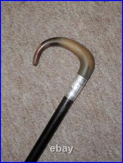 Antique Walking Stick/Cane With Bovine Horn Crook Handle & H/m Silver Collar- 86cm