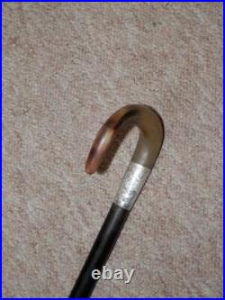 Antique Walking Stick/Cane With Bovine Horn Crook Handle & H/m Silver Collar- 86cm